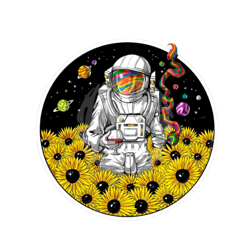 Astronauta Flores